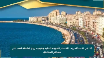 غدًا في الإسكندرية.. انكسار الموجة الحارة وهبوب رياح نشطة تهب على معظم المناطق